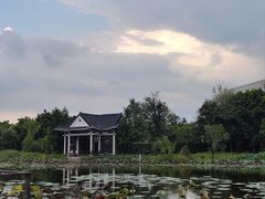 -映月湖公园