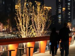 -坝河休闲公园