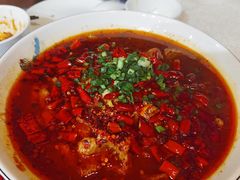 水煮牛肉-富乐山酒店(西黄城根北街店)