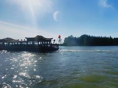 -溱湖国家湿地公园