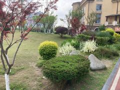 -府河摄影公园