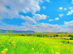 -光明小镇欢乐田园