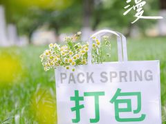 -秀丽东方