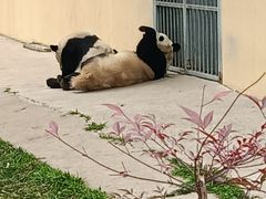 -西安秦岭野生动物园