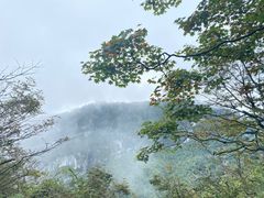-峨眉山风景名胜区