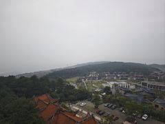 -铁山坪森林公园