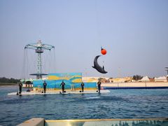 -秦皇岛乐岛海洋王国