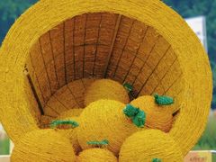 -中国天府农业博览园