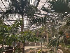 -呀路古热带植物园