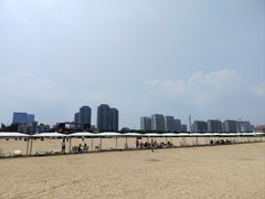 -烟台金沙滩海滨公园