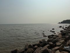 -深圳湾公园(南山区)