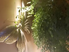 -霖公馆SPA·足道(普善路店)