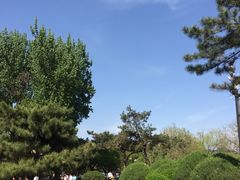 -二一九公园