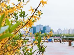 -莲花池公园