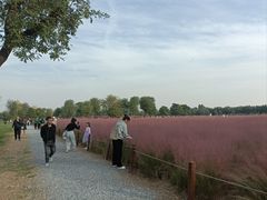 -汉长安城未央宫国家考古遗址公园