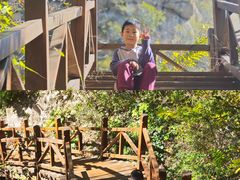 -大岭沟猕猴桃谷风景区
