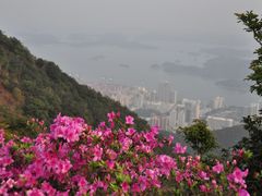 -梧桐山风景名胜区