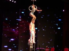 -南风大剧院莎梦二人转剧场