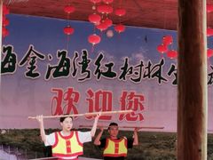 -北海金海湾红树林生态旅游区