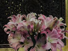 -心足私家足疗SPA(深圳湾店)