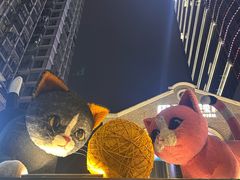 -巴厘龙虾·榜首油焖大虾(洞庭·艺术洋房店)