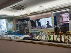 -维倪月子会所(独栋庭院·南海店)