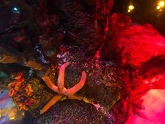 -沈阳海洋探索中心