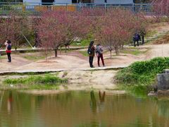 -南国桃园旅游度假区