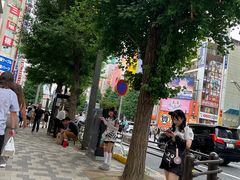 -秋叶原电器街