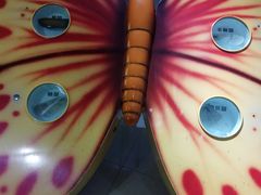 -上海昆虫博物馆