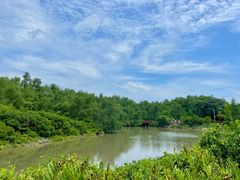 -大亚湾红树林城市湿地公园