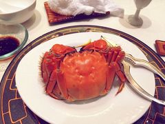 -阳澄湖费尔蒙酒店颐丰阁中餐厅(马鞍山西路店)