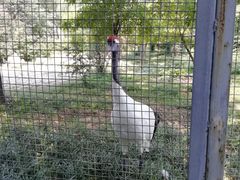 -石家庄市动物园