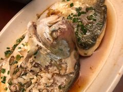 -诏安海鲜馆(新浦店)