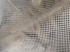 -瑞派福兴宠物医院犬猫全科·骨科·中西医结合(河东店)