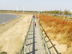 -呼兰河口湿地公园