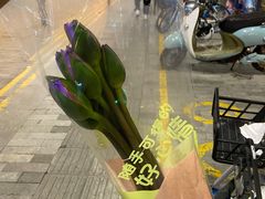 -鹿岛生活(熙地港店)