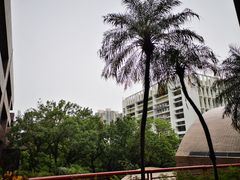 -香港大学