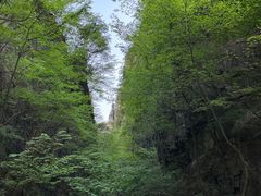 -野三坡百里峡景区
