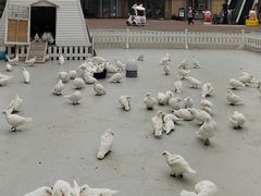 -王府井奥莱临潼小镇(临潼店)
