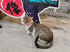-山城巷传统风貌区
