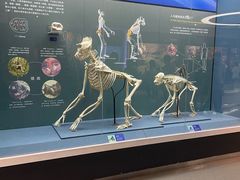 -国家自然博物馆