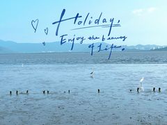 -深圳湾公园(南山区)