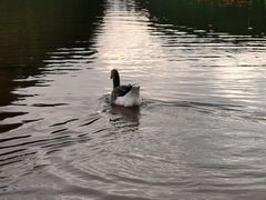 -湖泉半山温泉(湖泉生态园)