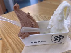 -野人先生Gelato(上海长宁龙之梦店)