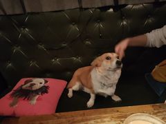 -M-3 PUB(创智天地店)