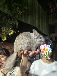 -Zoolung Zoolung动物主题公园(海信广场店)