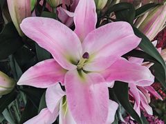 -春暖花开(西溪店)