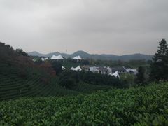 -帐篷客·溪龙茶谷度假酒店