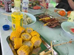 -尚庄度假村·庭台树下·户外烧烤·团建CS·轰趴营地(上庄水库店)